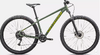 Specialized Rockhopper Gloss Sage Green / Olive Green S